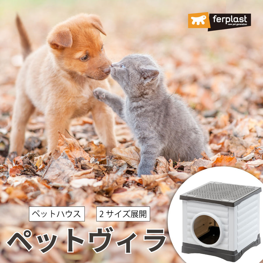 新着商品 – ファンタジーワールド [FANTASY WORLD]