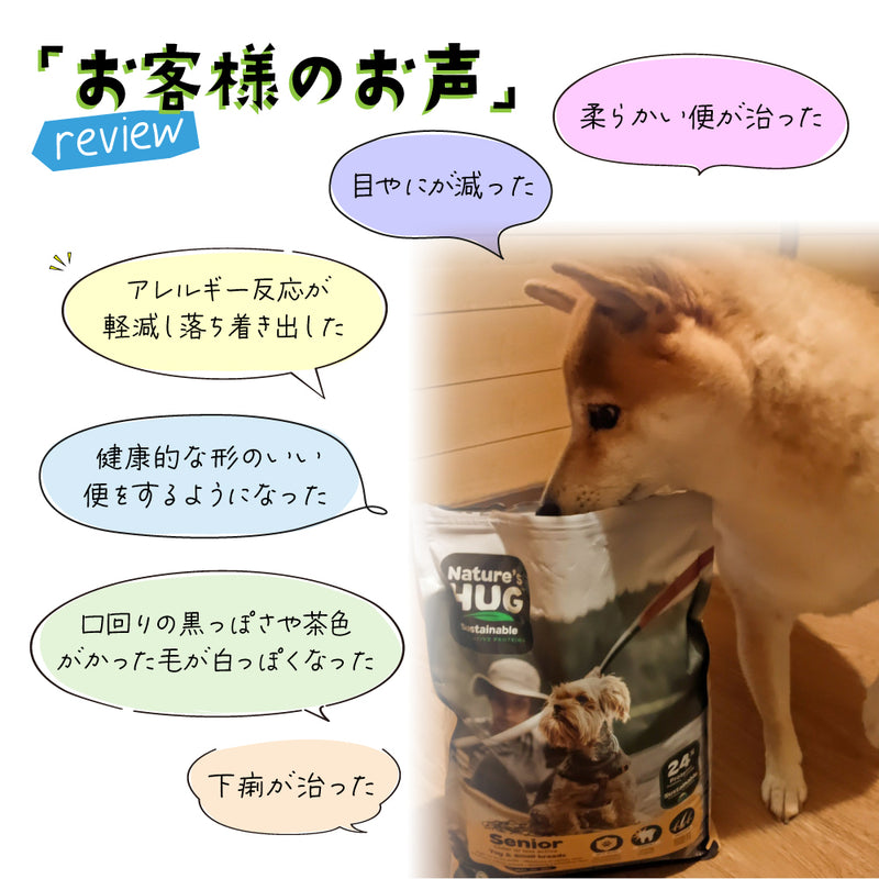 ミディアム＆ラージブリード 100g / 2.27kg / 9.07kgシニア ネイチャーズハグ DOG ドライフード　