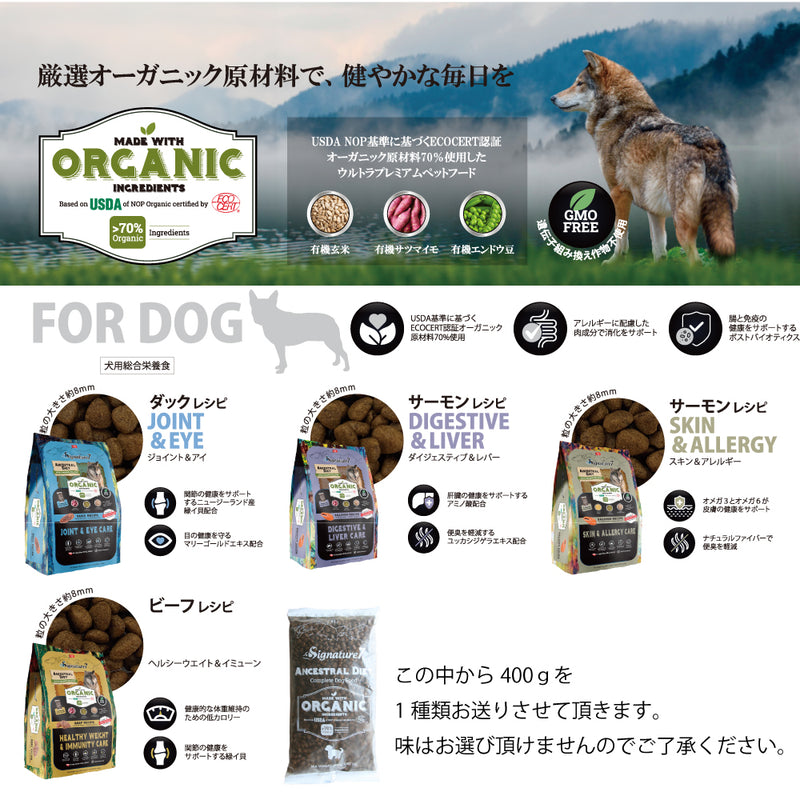 2026年【福袋】シグネチャー7 犬 3300円