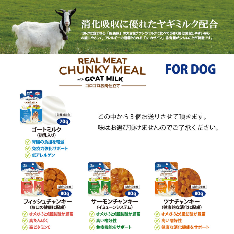 2026年【福袋】シグネチャー7 犬 3300円