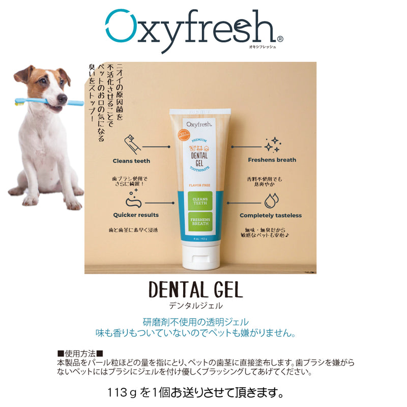 2026年【福袋】シグネチャー7 犬 3300円