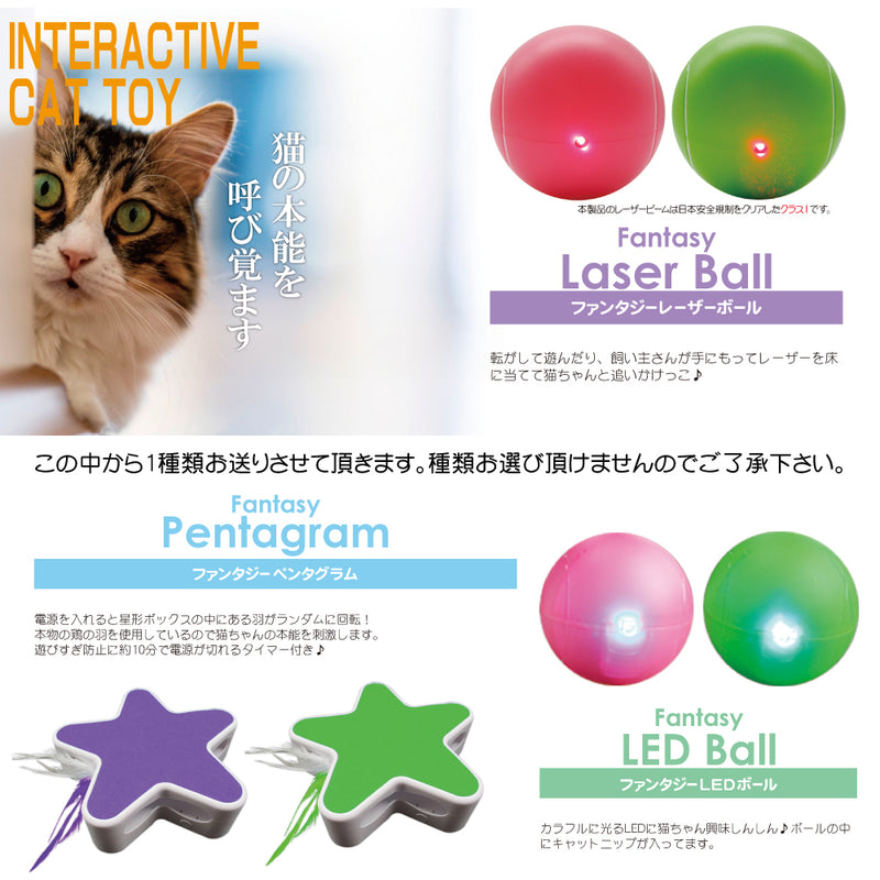 2026年【福袋】シグネチャー7 猫 3300円