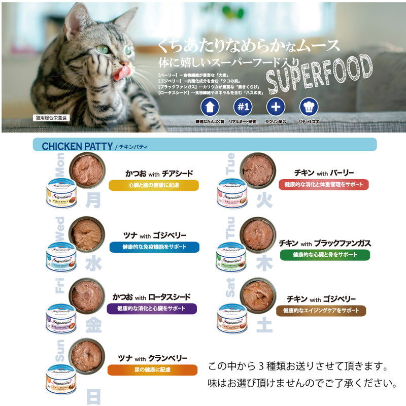 2026年【福袋】シグネチャー7 猫 3300円