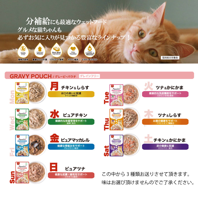 2026年【福袋】シグネチャー7 猫 3300円