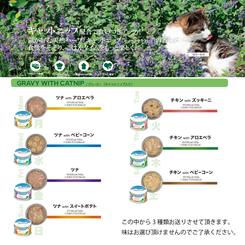 2026年【福袋】シグネチャー7 猫 3300円