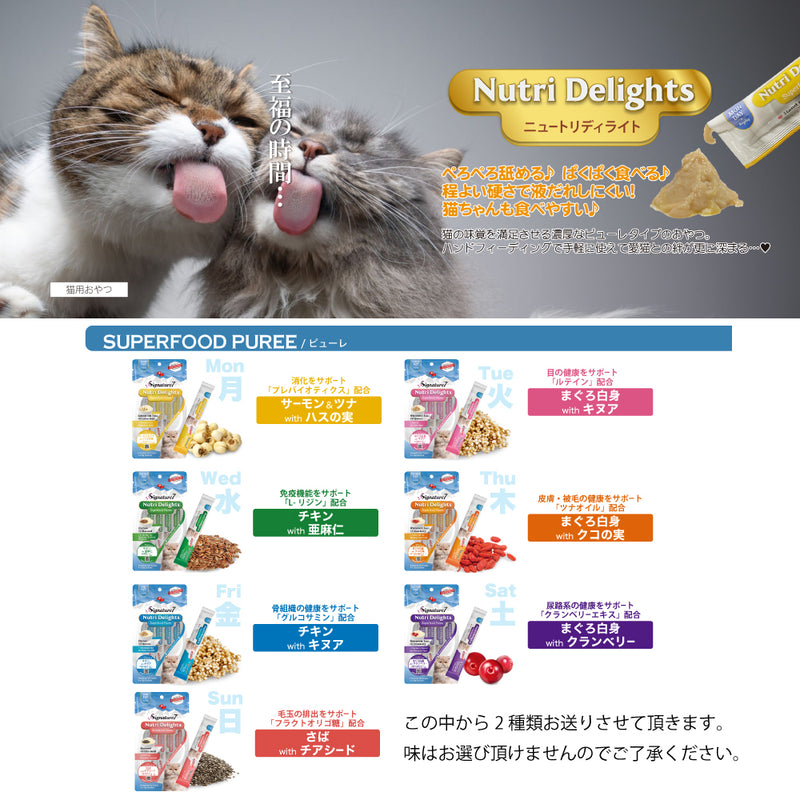 2026年【福袋】シグネチャー7 猫 3300円