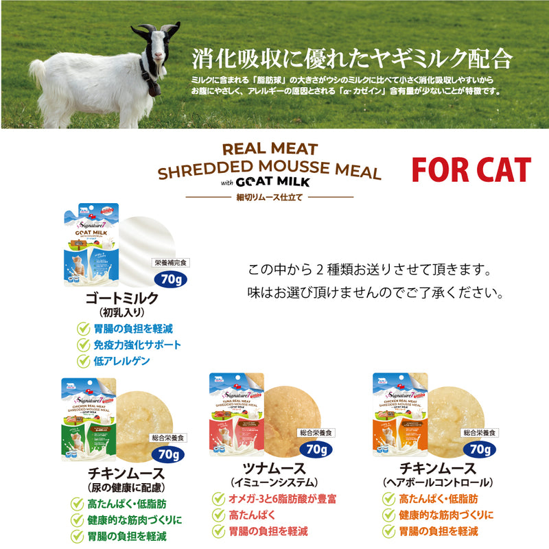 2026年【福袋】シグネチャー7 猫 3300円