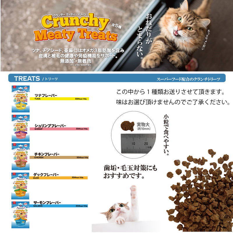 2026年【福袋】シグネチャー7 猫 3300円