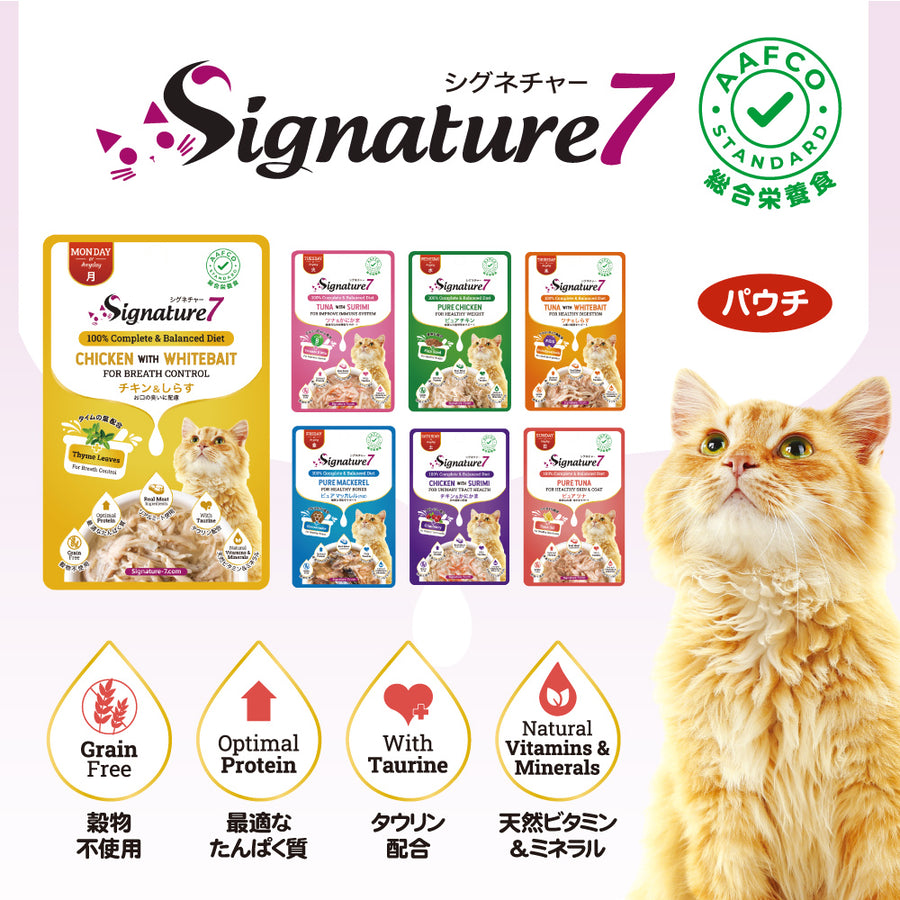 Signature7 – ファンタジーワールド [FANTASY WORLD]