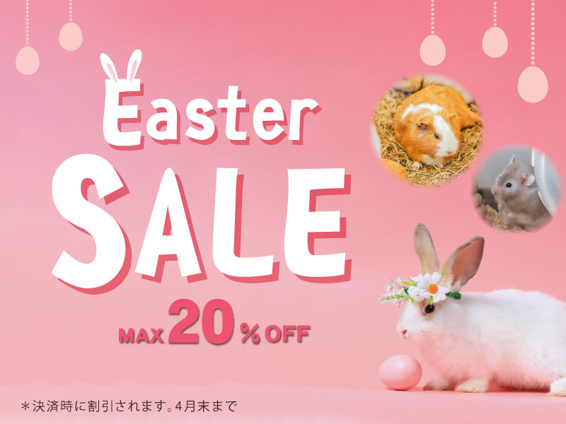 https://www.fanta-shop.jp/collections/smallanimal_ranking?utm_campaign=%E3%80%904%E6%9C%88%E6%9C%AB%E3%81%BE%E3%81%A7%E3%80%91%E4%BB%8A%E6%9C%88%E3%81%AE%E3%81%8A%E5%BE%97%E3%81%AA%E3%82%A4%E3%83%99%E3%83%B3%E3%83%88%E6%83%85%E5%A0%B1%EF%BC%81%E5%AF%BE%E8%B1%A1%E5%95%86%E5%93%81MAX20%25OFF%21%21_159217778926&utm_medium=email&utm_source=shopify_email