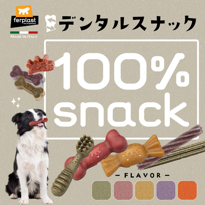 【期限切迫特価】ベジタリアン デンタル スナック 犬用 おやつ 歯みがき ガム