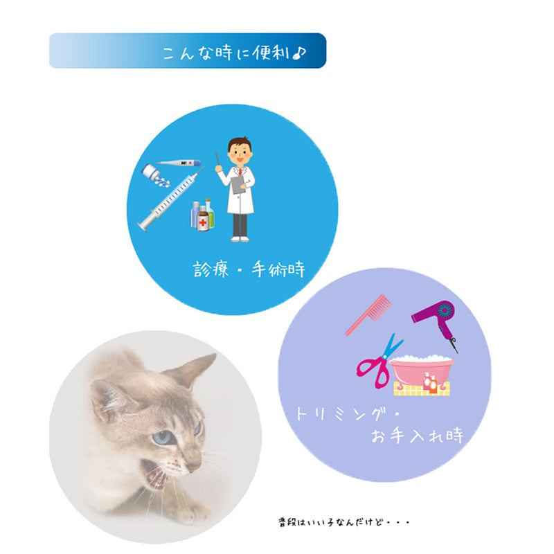 キャットマズル　Ｓ/M
