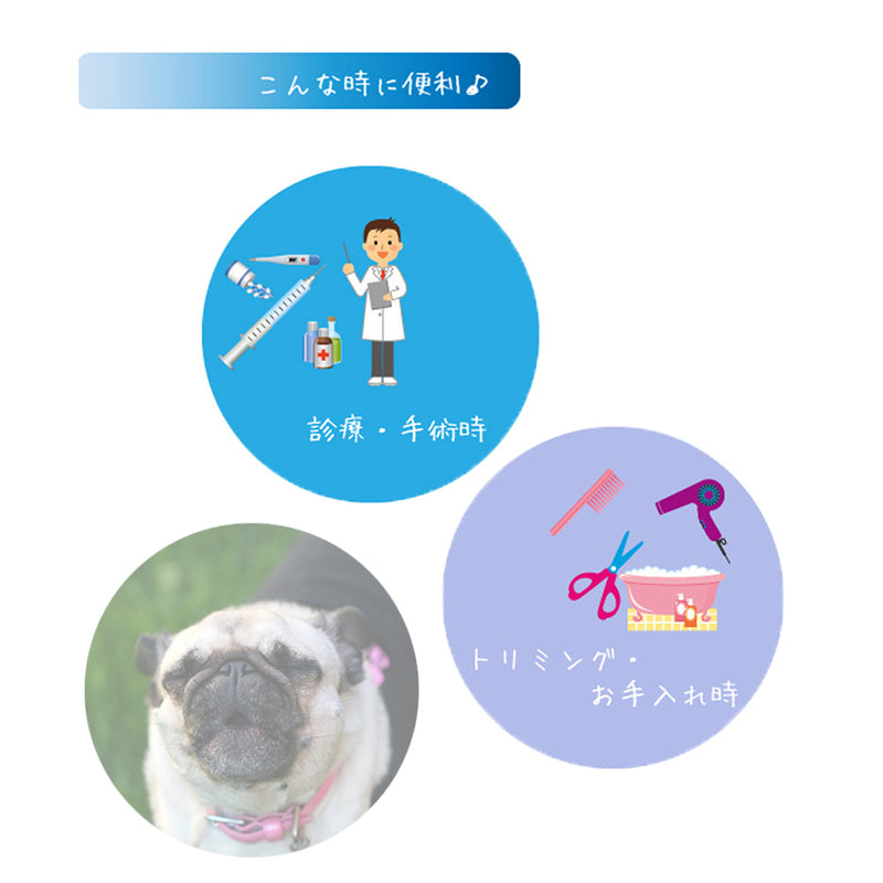ショートノーズ マズル Ｓ/M 犬  パグ・シーズーなどの短吻種用　無駄吠え防止口輪