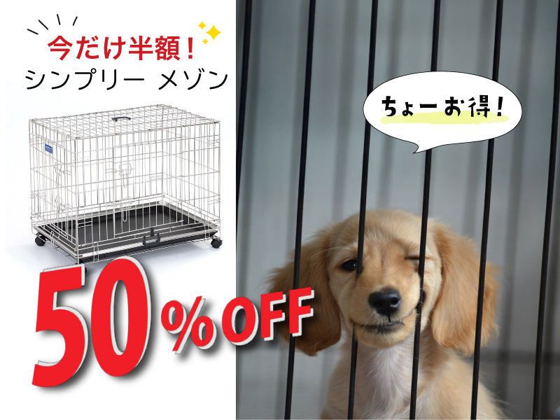https://www.fanta-shop.jp/search?type=product&q=%E3%82%B7%E3%83%B3%E3%83%97%E3%83%AA%E3%83%BC%E3%80%80%E4%BB%8A%E3%81%A0%E3%81%9150%EF%BC%85