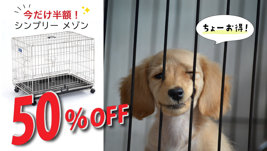 https://www.fanta-shop.jp/search?type=product&q=%E3%82%B7%E3%83%B3%E3%83%97%E3%83%AA%E3%83%BC%E3%80%80%E4%BB%8A%E3%81%A0%E3%81%9150%EF%BC%85
