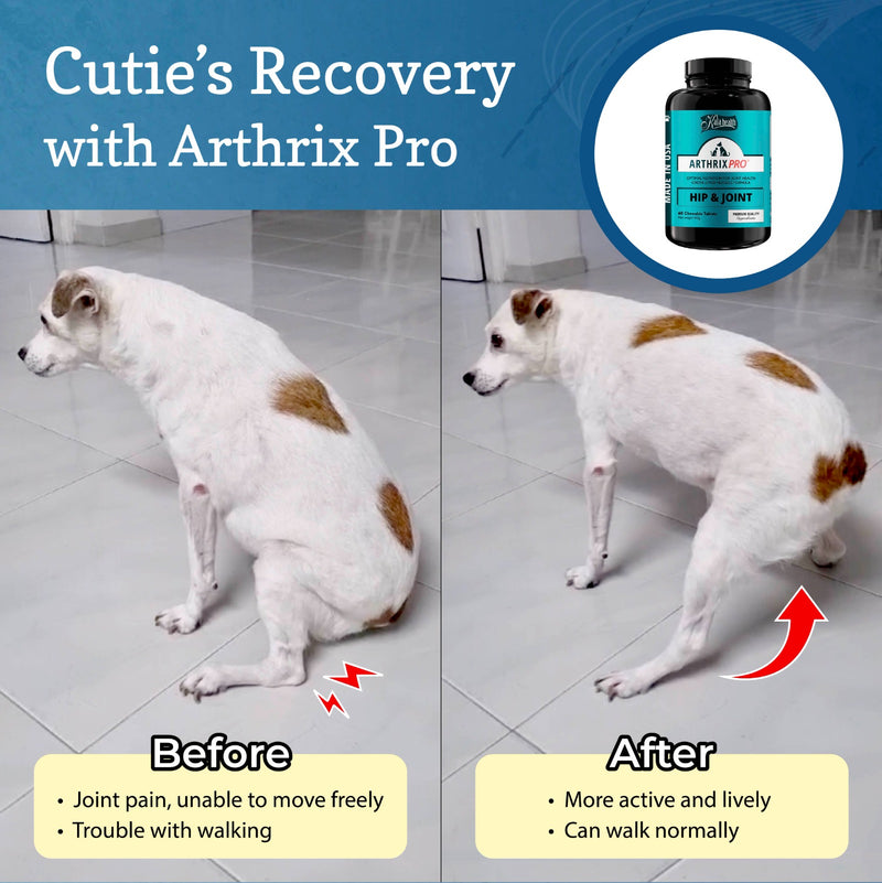 軟骨組織の健康をサポート ARTHRIX アースリックス