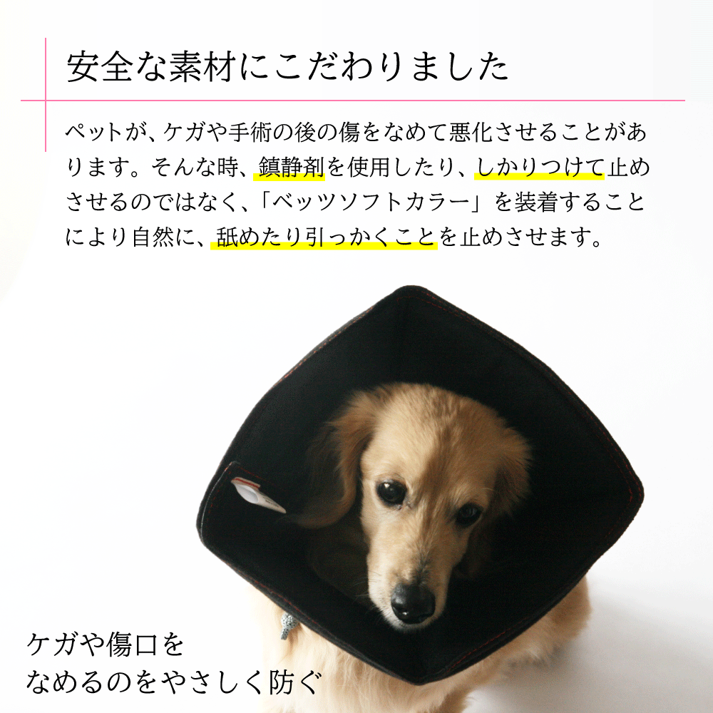 傷口をなめて困る時に ベッツソフトカラー XS ブラック ペット用品 犬