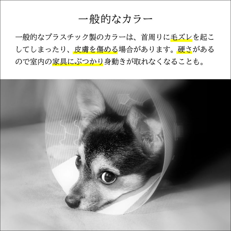 傷口をなめて困る時に ベッツソフトカラー S～XXLサイズ ブラック