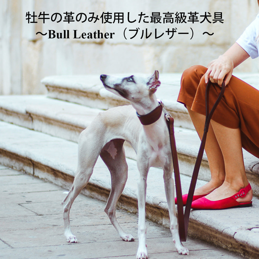 犬具 VIP G リード 本格ブルレザー 革 – ファンタジーワールド