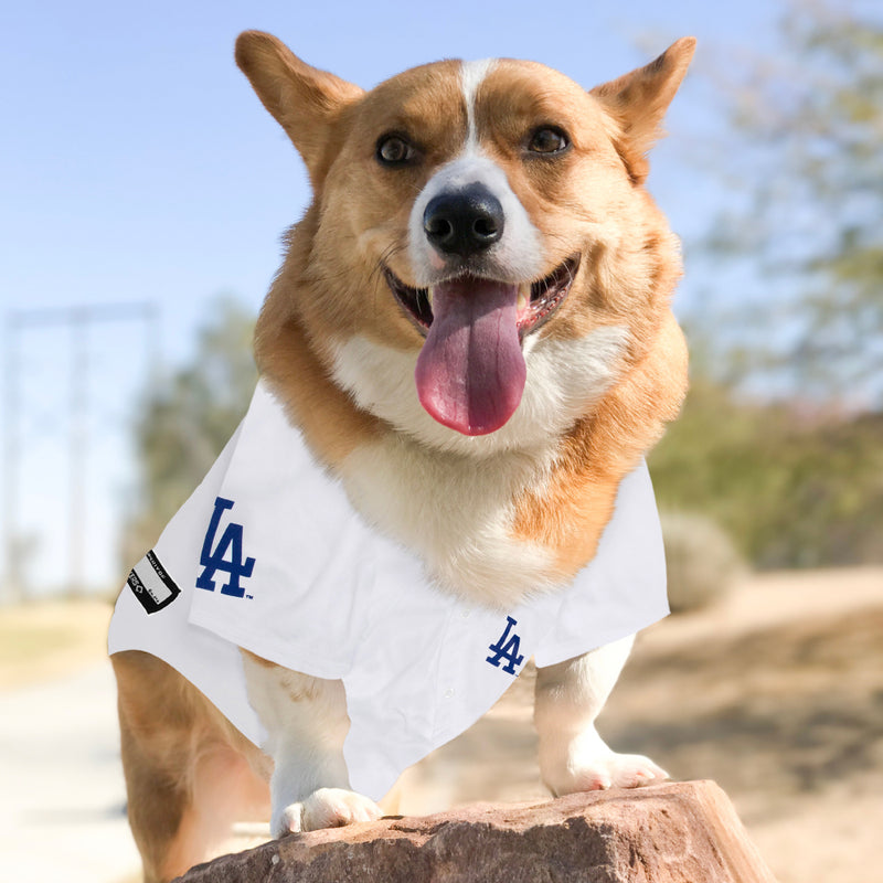 【予約販売】9月中旬~9月下旬入荷予定 【限定個数発売】MLB公式  ドジャース 山本投手 佐々木投手 モデル ジャージ