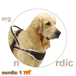 介護用ハーネス　ERGO COMFORT NORDIC 1〜ノルディック 1〜