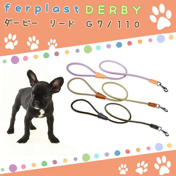 頑丈なナイロン製リード G7/110  ダービー DERBY