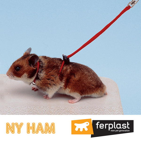 ハーネス リード セット ハムスター用  NY HAM HARNESS 小動物用