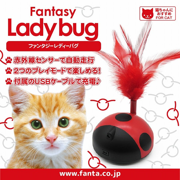 【特価】ファンタジー レディーバグ