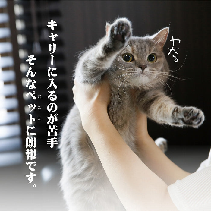 数量限定 セール スライド式 カームキャリー S/Lサイズ