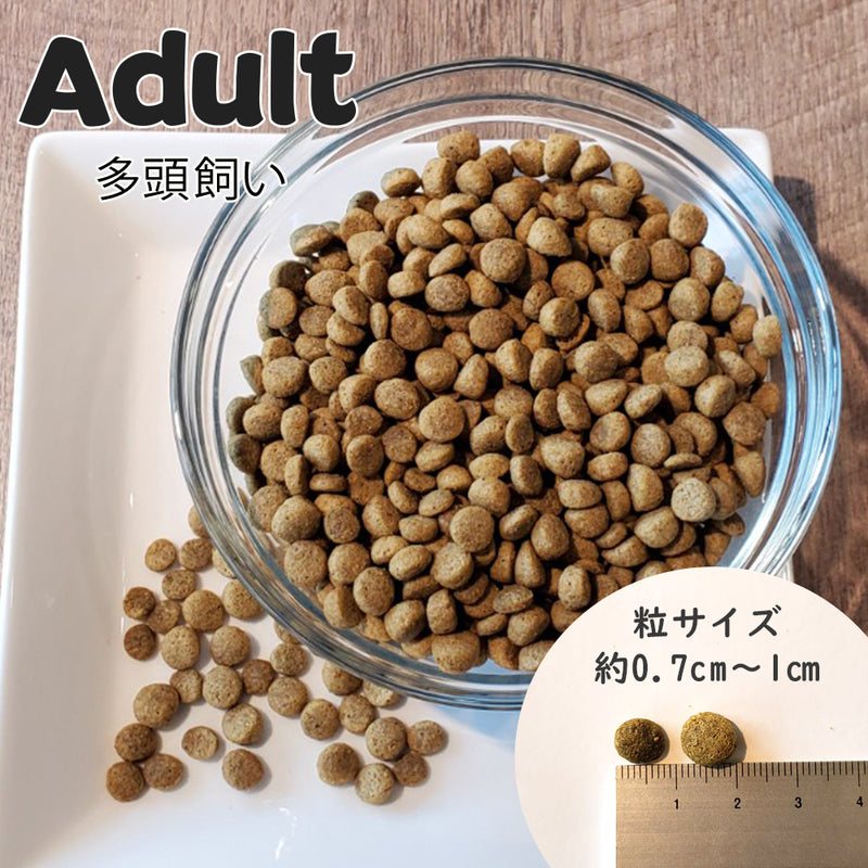 マルチキャット アクティブ アダルト 猫 ドライフード 100g/4.54kg