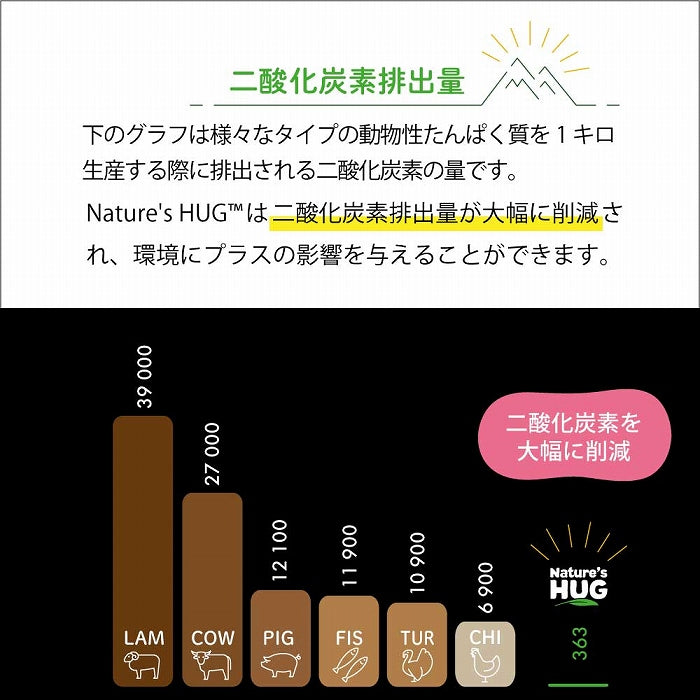 【期限切迫特価商品あり】賞味期限2024/8/13　ミディアム＆ラージブリード 2.27kg シニア ネイチャーズハグ DOG ドライフード　