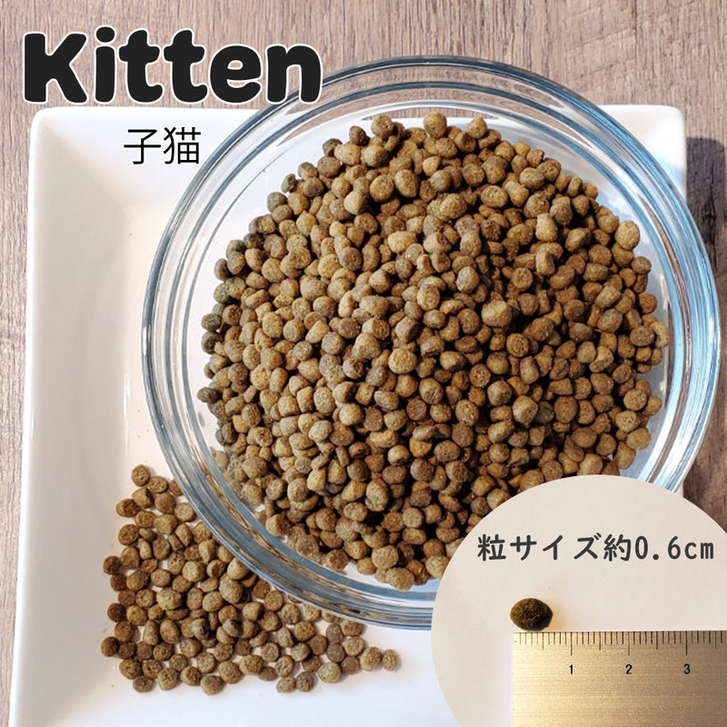 HUG ネイチャーズハグ キトン グロース 猫 ドライフード 100g/1.81kg