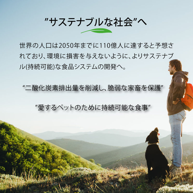 HUG ネイチャーズハグ キトン グロース 猫 ドライフード 100g/1.81kg