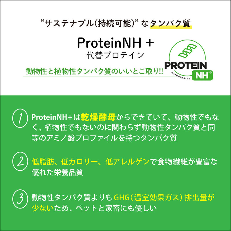 【期限切迫特価商品あり】賞味期限2024/10/22　キトン グロース 1.81kg ネイチャーズハグ CAT ドライフード