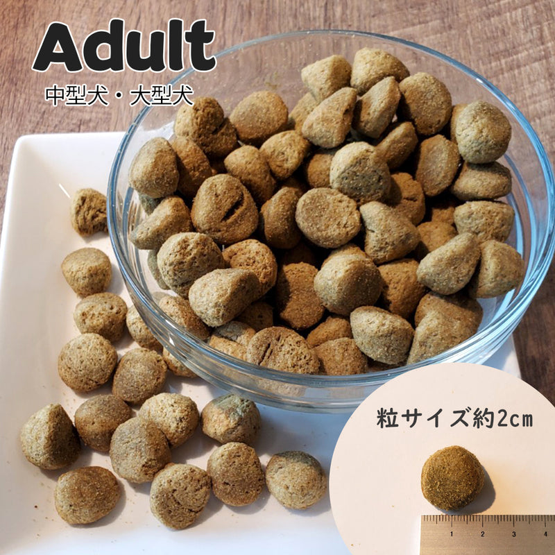ミディアム＆ラージブリード アダルト 犬 ドライフード 100g/ 9.07kg