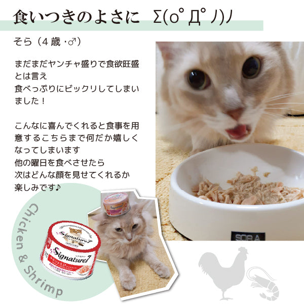 グレイビー ウイークリーパック  猫 総合栄養食 グレインフリー  70gｘ7缶