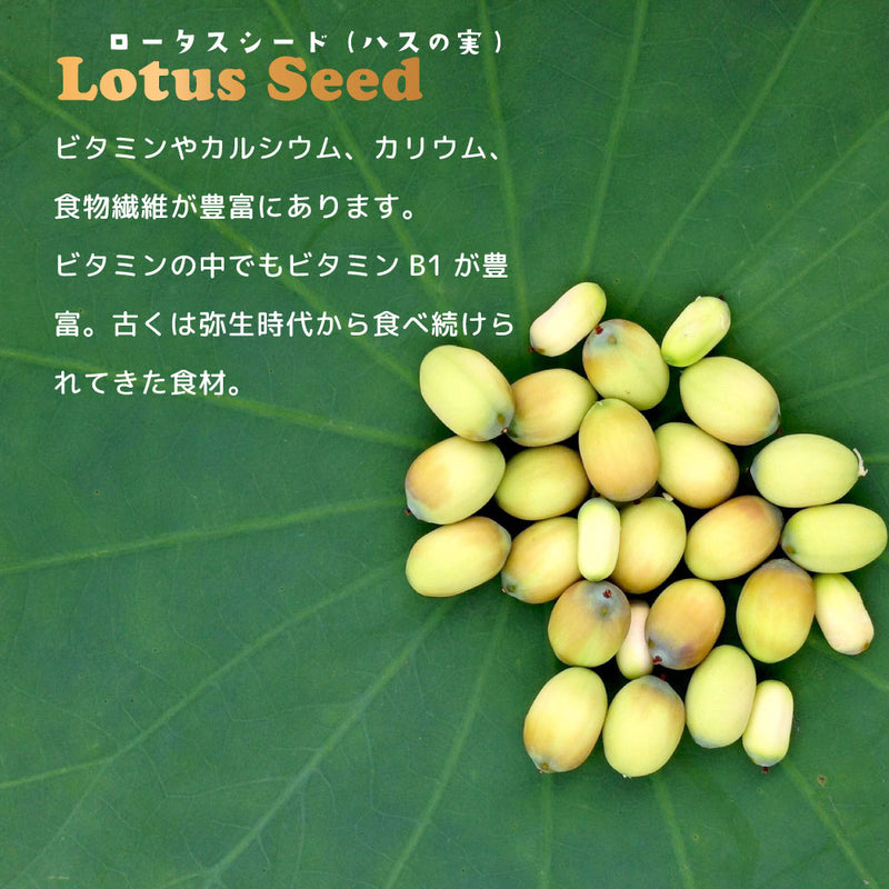 リアルミート パティ 猫 総合栄養食 7種類