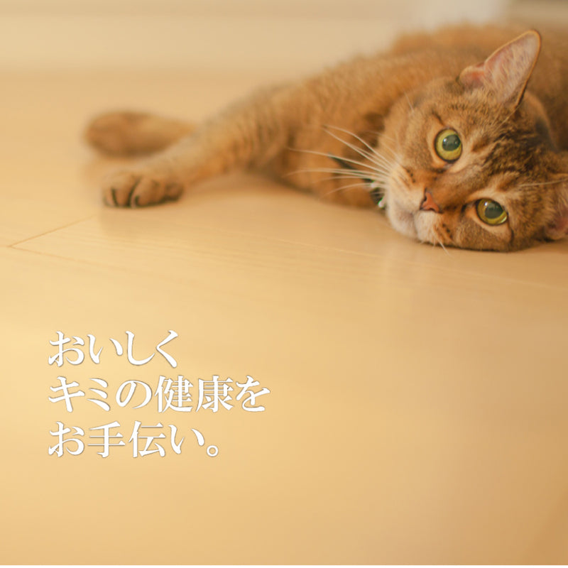 リアルミート パティ 猫 総合栄養食 7種類