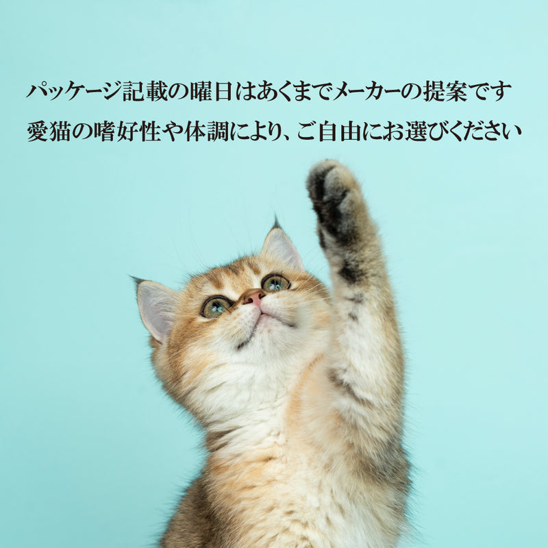【猫の月セール2/1～2/29】 【同じ曜日パウチ50ｇプレゼント】 ツナ＆クランベリー 80g (日) ネコ 猫 総合栄養食 リアルミート パティ