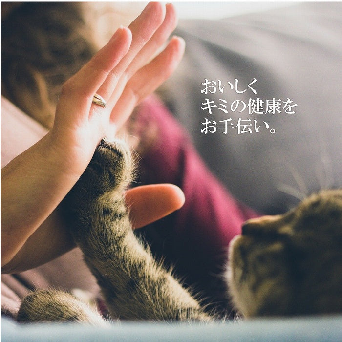 数量限定 セール 賞味期限2025/9/17  ツナ＆しらす パウチ 50g グレイビー 木