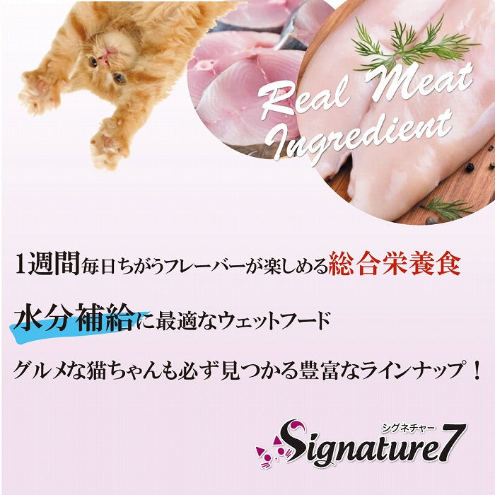 数量限定 セール 賞味期限2025/9/13 チキン＆かにかま パウチ 50g グレイビー 土