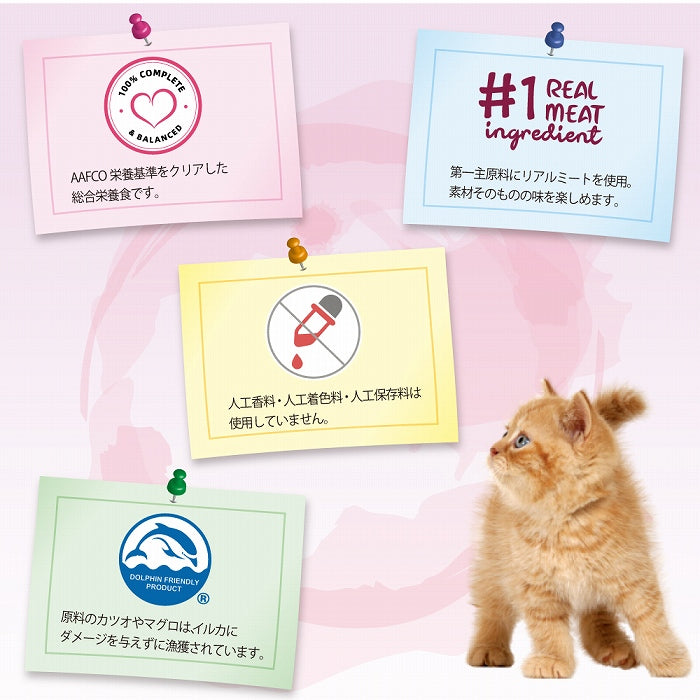 数量限定 セール 賞味期限2025/9/13 チキン＆かにかま パウチ 50g グレイビー 土