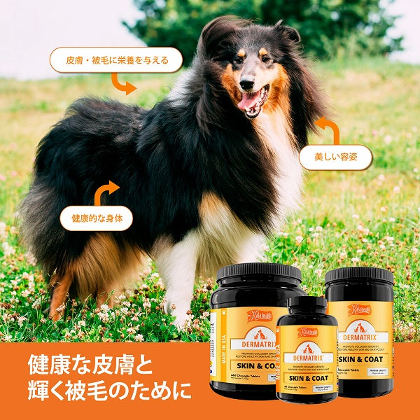 皮膚・被毛の健康をサポート DERMATRIX ダーマトリックス
