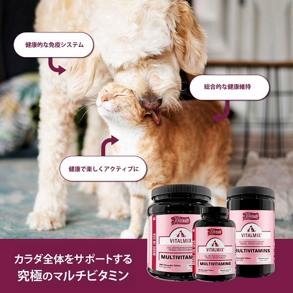免疫システムと循環機能をサポート VITALMIX バイタルミックス