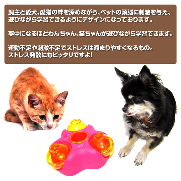 【決算棚卸特価】知育トイ  ペットメイズ Rock-N-Ball ロックンボール
