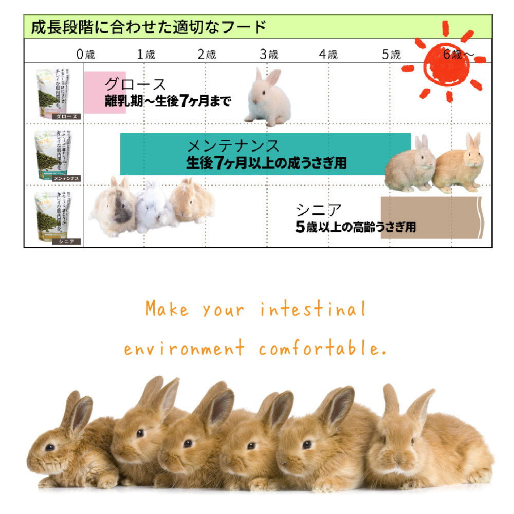 lapine様 リクエスト 4点 まとめ商品 1/31更新】PEACEMINUSONE X MONAMHEE POP-UP(2025/1/24〜2/12