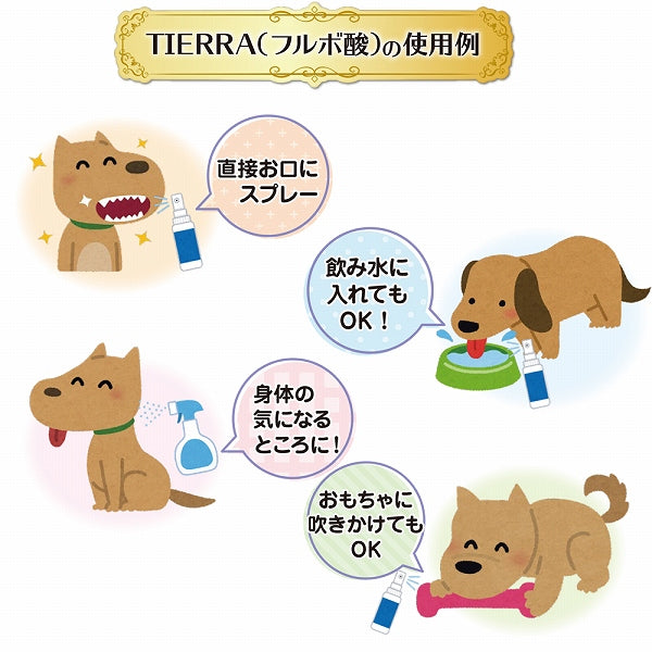 ティエラ　オールケア 200ml 犬猫用 歯周病 歯石 皮膚 涙やけ