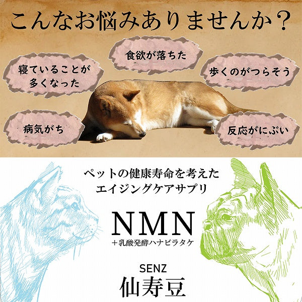 犬猫用 サプリメント 仙寿豆 32.1ｇ 加齢による身体機能の低下を防ぐ