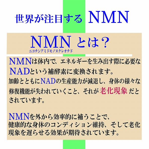 犬猫用 サプリメント 仙寿豆 32.1ｇ 加齢による身体機能の低下を防ぐ