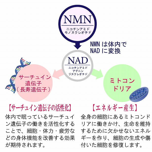 犬猫用 サプリメント 仙寿豆 32.1ｇ 加齢による身体機能の低下を防ぐ